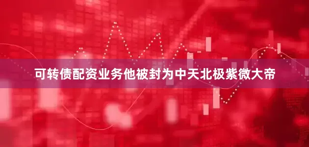 可转债配资业务他被封为中天北极紫微大帝