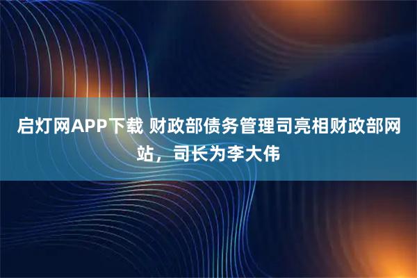 启灯网APP下载 财政部债务管理司亮相财政部网站，司长为李大伟