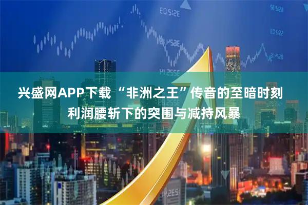 兴盛网APP下载 “非洲之王”传音的至暗时刻  利润腰斩下的突围与减持风暴