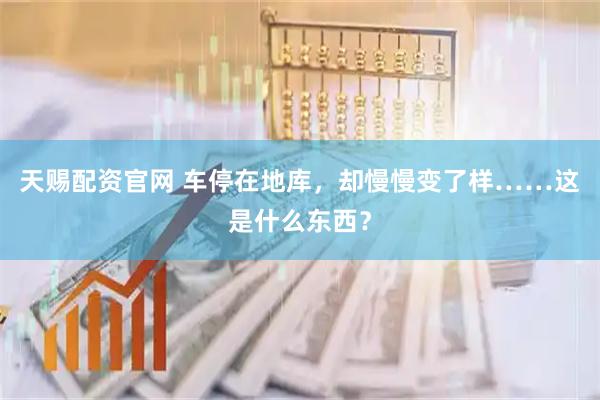 天赐配资官网 车停在地库，却慢慢变了样……这是什么东西？